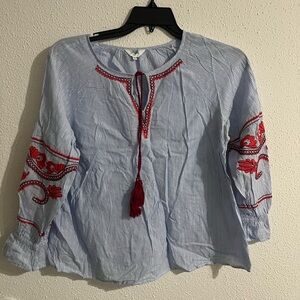 Light Blue Striped Peasant Top with Red Embroidery